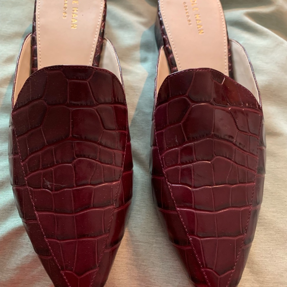 Brand new, wine mules, never worn outside